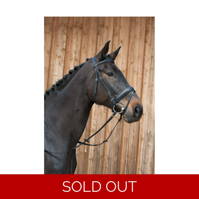 product Image for Kieffer Ergonomic Line III Snaffle Bridle - Black